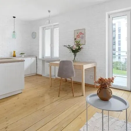 N&l Apartment Poznan